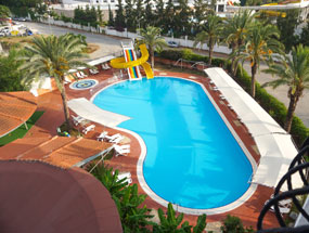 PALM D'OR
